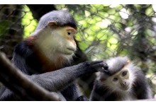 HANOI - CUC PHUONG - VANTRINH CAVE - VAN LONG TOUR 2 DAYS 1 NIGHT from 69 USD/person only