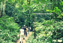 CUCPHUONG NATIONAL PARK - TRANGAN - CYCLING IN TAMCOC 2 DAYS 