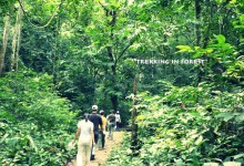 CUCPHUONG NATIONAL PARK - TRANGAN - CYCLING IN TAMCOC 2 DAYS 