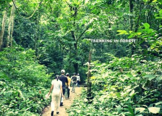 CUCPHUONG NATIONAL PARK - TRANGAN - CYCLING IN TAMCOC 2 DAYS 