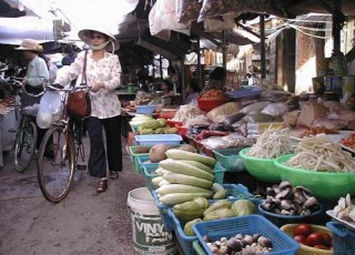 VIETNAM CULINARY DISCOVERY TOUR 11 DAYS 10 NIGHTS from 450 USD/person only