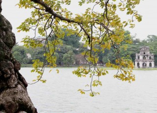 NORTHERN VIETNAM DISCOVERY: HERITAGE & HIGHLANDS (7 DAYS / 6 NIGHTS) from 345 USD/person