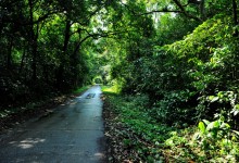 NINHBINH MOTORBIKE TOUR 3 DAYS 2 NIGHTS