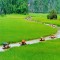 HANOI - MAICHAU - HALONG - NINHBINH - HANOI FOR 6 DAYS 5 NIGHTS from 230 USD/person only