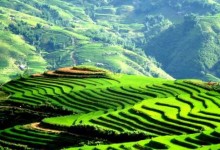 HANOI - SAPA - HANOI 2 DAYS 1 NIGHT 