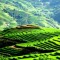 BEST OF NORTHERN VIETNAM TOUR 9 DAYS 8 NIGHTS FROM 468 USD ONLY