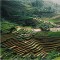 SAPA DISCOVERY 3 NIGHTS 2 DAYS 125 USD/person only