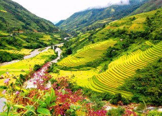THE NORTHERN VIETNAM ULTIMATE DISCOVERY: PEAKS, PAGODAS & EMERALD BAYS (7 DAYS / 6 NIGHTS: HANOI - SAPA - HALONG BAY - NINH BINH) from 365 USD/person only