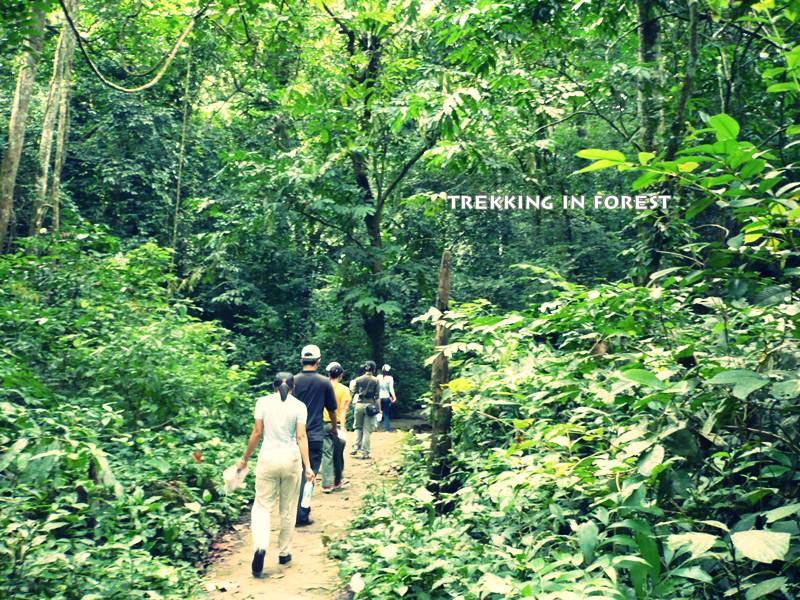 CUCPHUONG NATIONAL PARK - TRANGAN - CYCLING IN TAMCOC 2 DAYS 