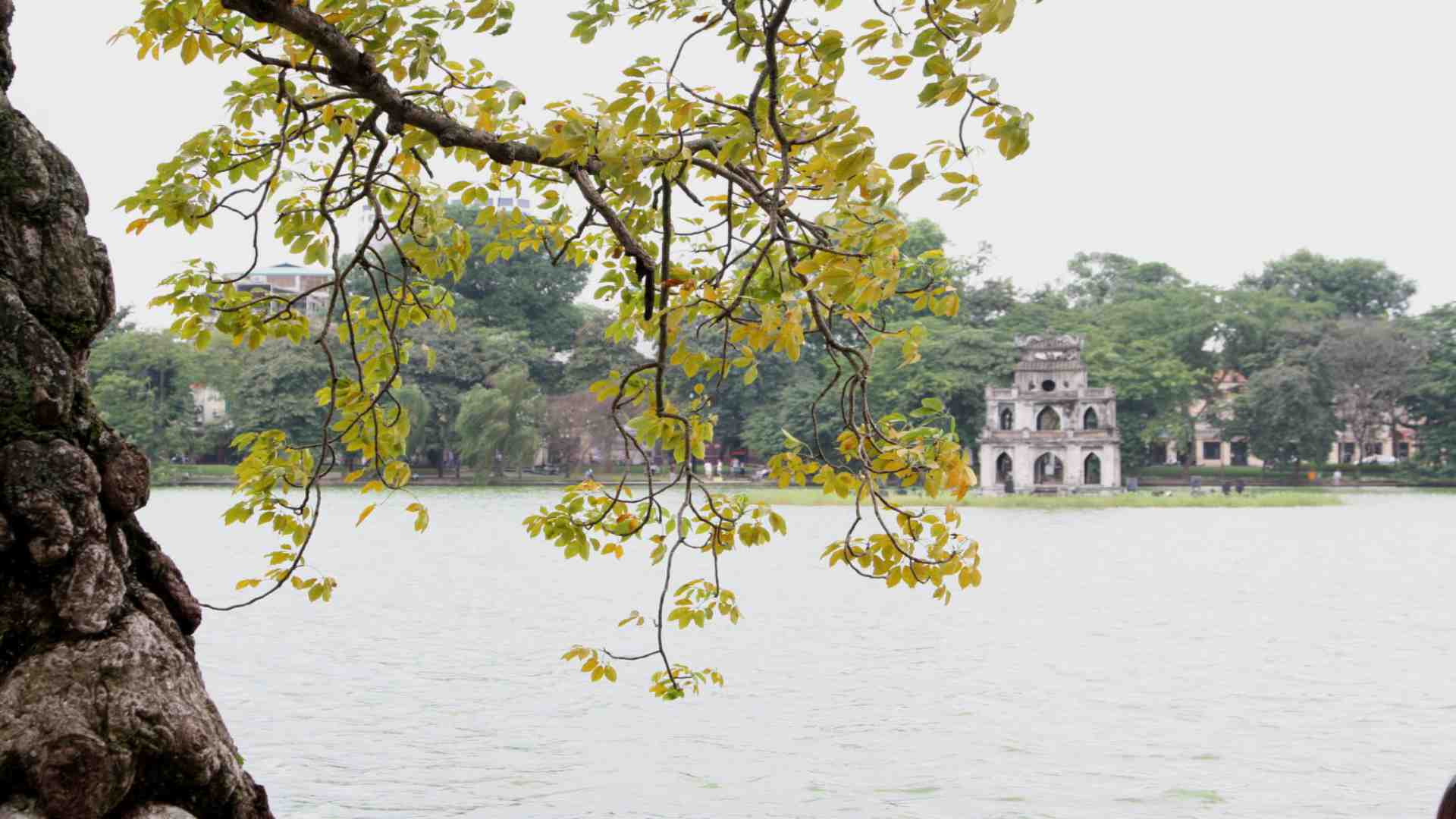NORTHERN VIETNAM DISCOVERY: HERITAGE & HIGHLANDS (7 DAYS / 6 NIGHTS) from 345 USD/person