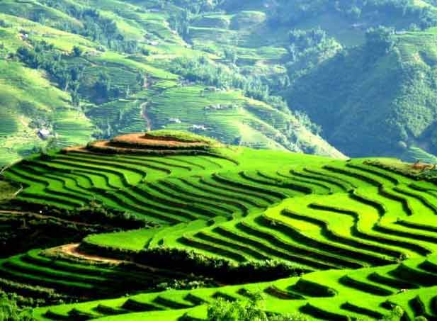 HANOI - SAPA - HANOI 2 DAYS 1 NIGHT 